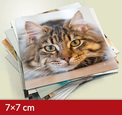 Magnesy kwadratowe 7×7 cm