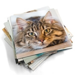 Fotomagnesy na lodówkę