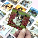 Fotomagnesy na lodówkę