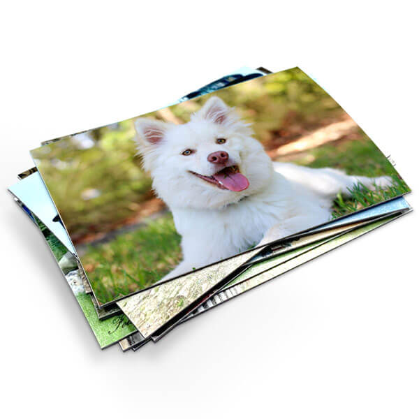 Fotomagnesy na lodówkę